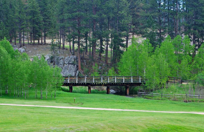 Bridge at Newton Fork Ranch.