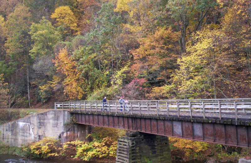 Bike riding over the bridge at New River Trail Cabins.