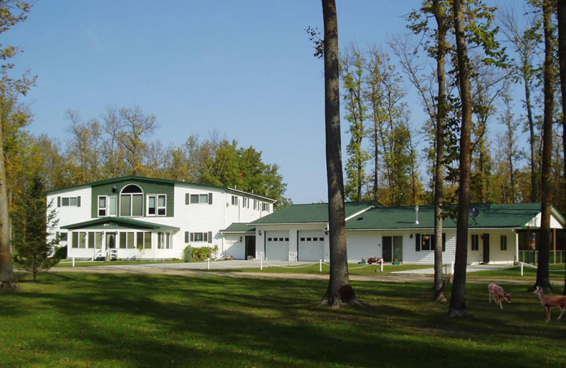 Exterior view of Wildwood Inn Bed & Breakfast.