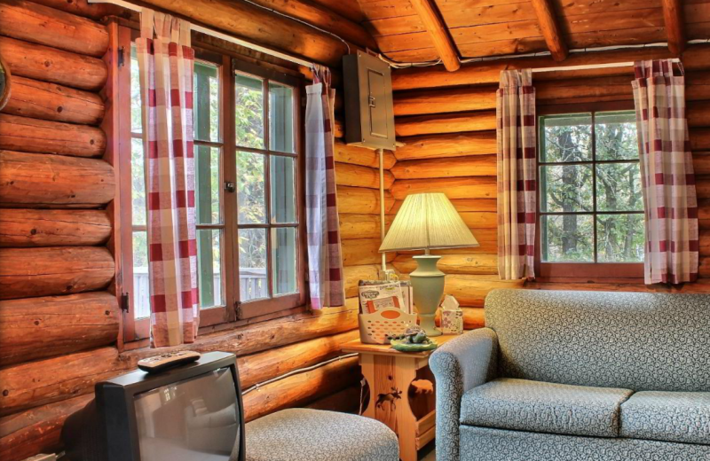 Cabin living room at Whaley's Resort & Campground.