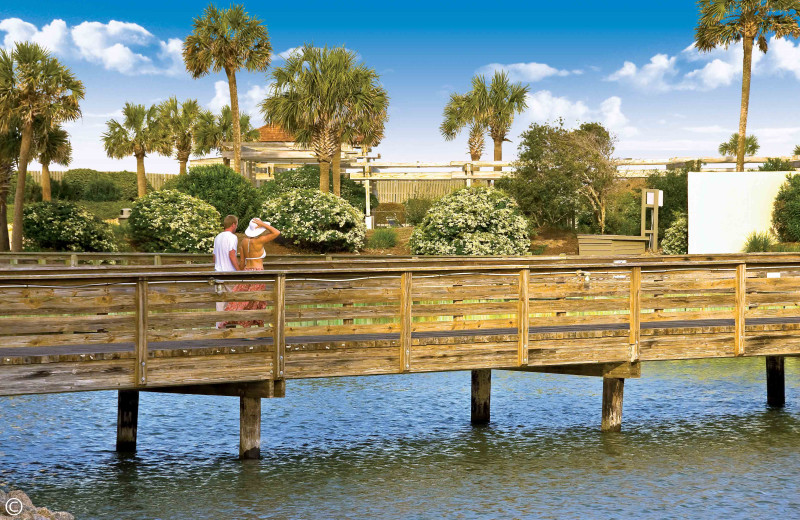 Dock at Ocean Creek Resort.