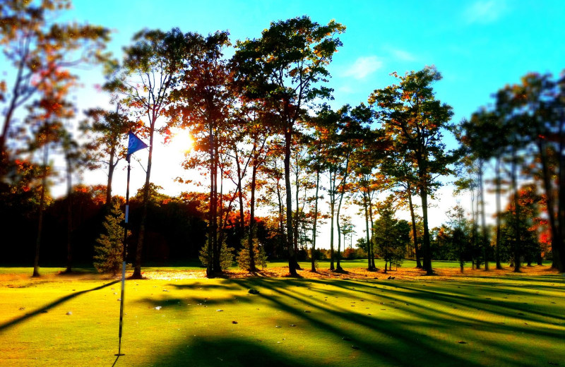 Golf near Woodside Cottages of Bayfield.