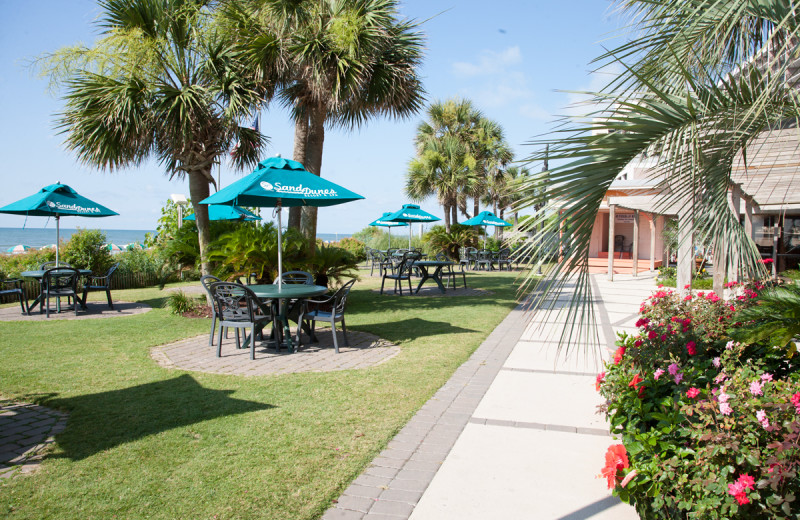 Grounds at Sands Resorts.