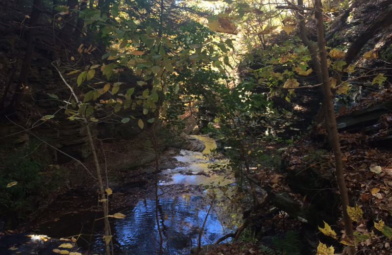 Creek at Clifftop On Seneca.