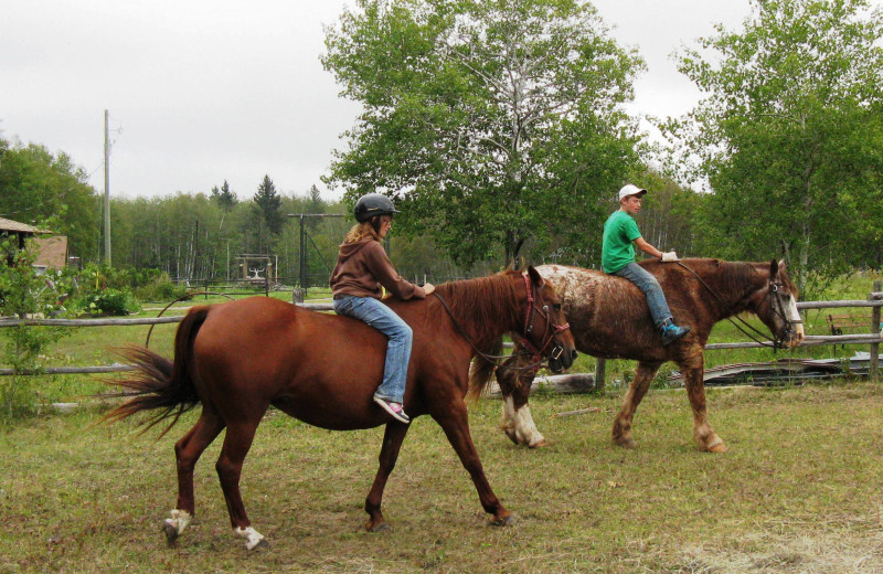 Horseback riding at Trailhead Ranch.