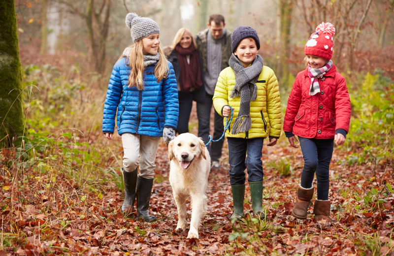 Pets welcome at Creeks Crossing Cabins.