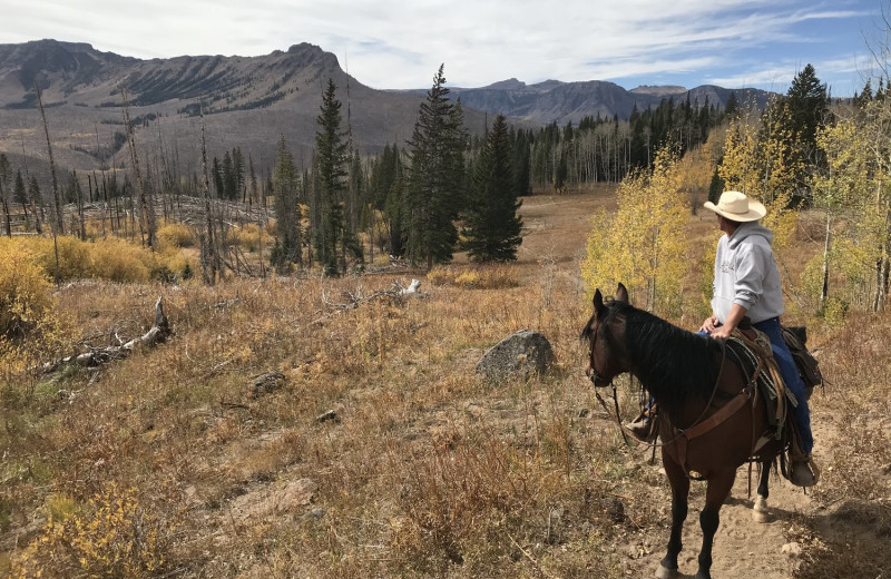 Horseback riding at Trappers Lake Lodge & Resort.