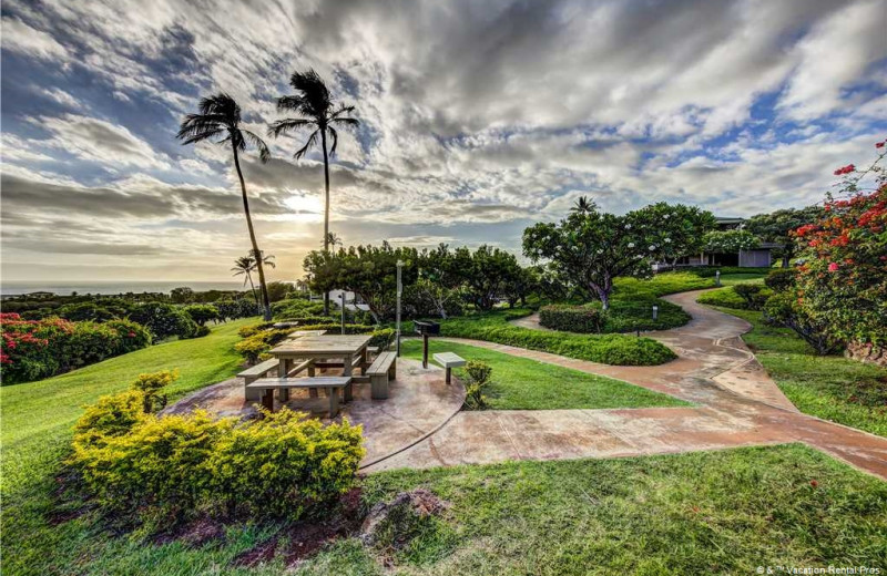 Rental grounds at Vacation Rental Pros - Maui.