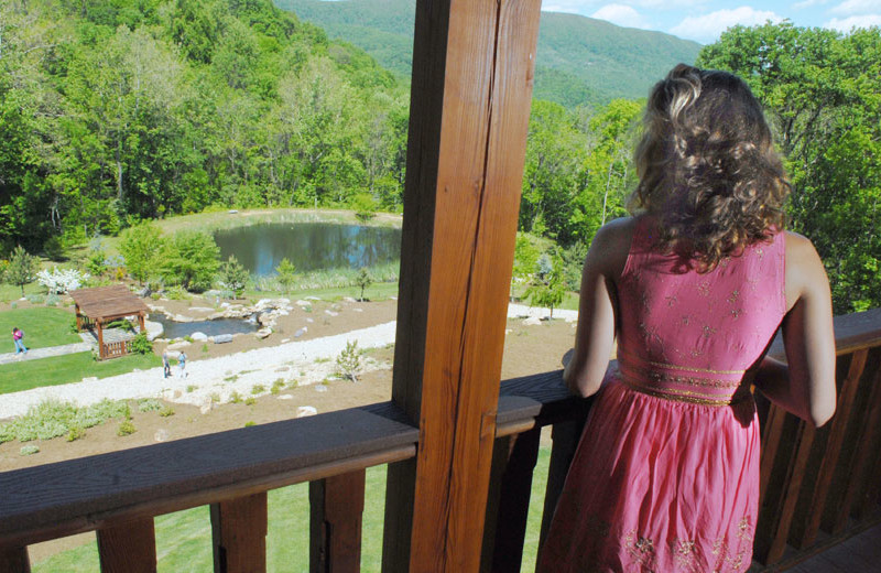 View from House Mountain Inn.