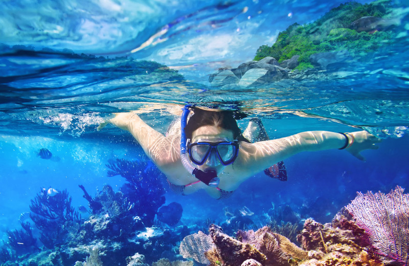 Snorkeling at Bric Vacation Rentals.