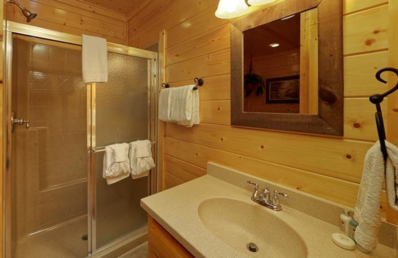 Downstairs king master suite bathroom.