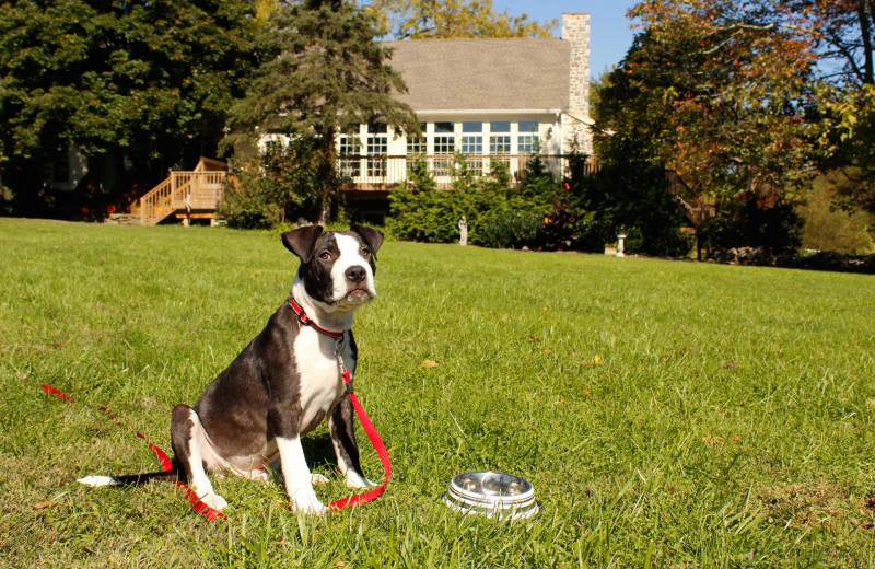 Pets welcome at Battlefield Bed & Breakfast.