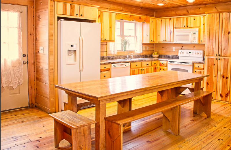 Cabin kitchen at ACE Adventure Resort.