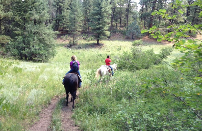 Horseback riding near Sunetha Property Management.