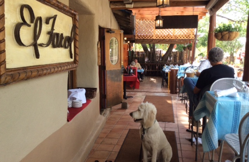 Pet friendly restaurants at Two Casitas, Santa Fe Vacation Rentals.