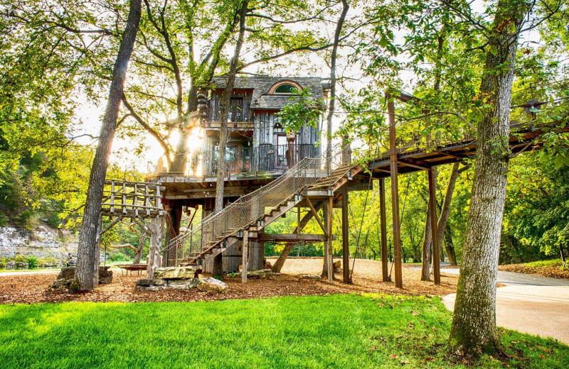 Tree house at Big Cedar Lodge.