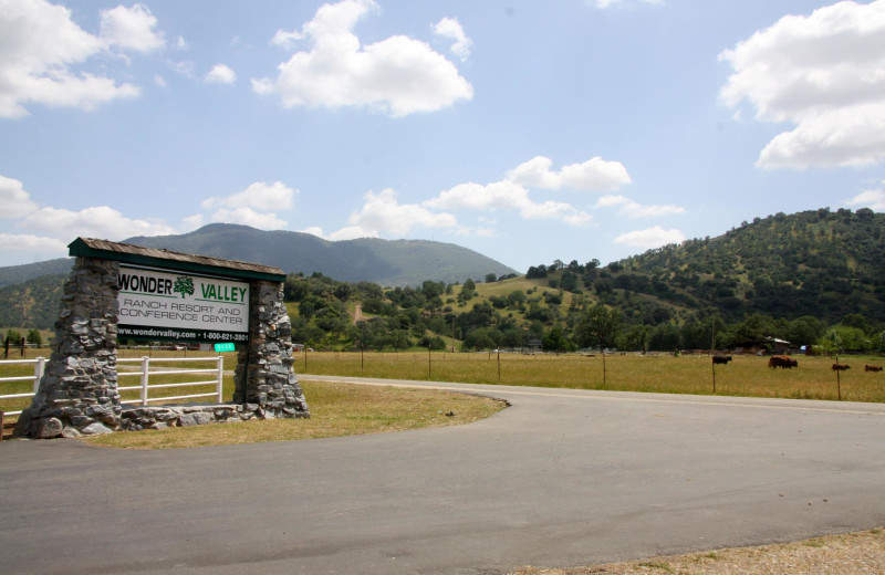 Welcome to Wonder Valley Ranch Resort.