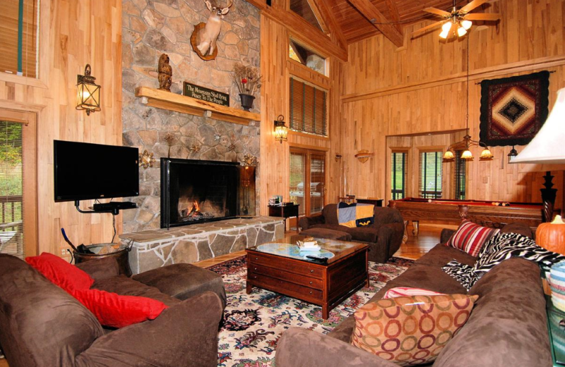 Vacation rental living room at Slope-Side Accommodation.