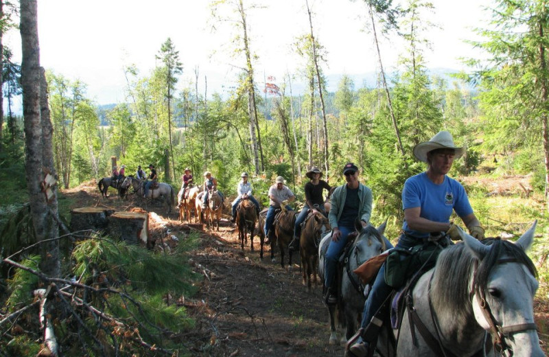 Horseback riding at Western Pleasure Guest Ranch.