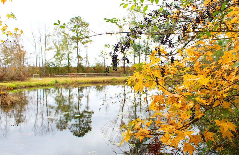 Lake at Berry Creek Cabins.