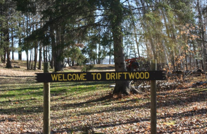 Nature View of Driftwood Resort