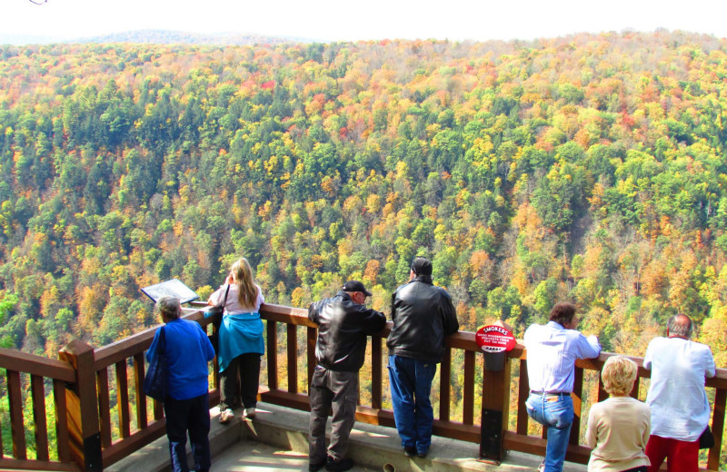 Scenic view at Penn Wells Hotel & Lodge.