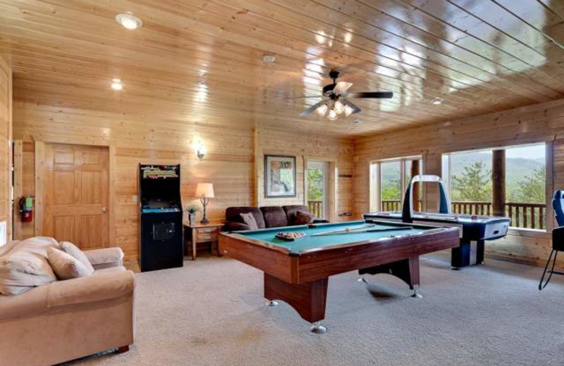 Vacation rental living room at Stony Brook Chalets.