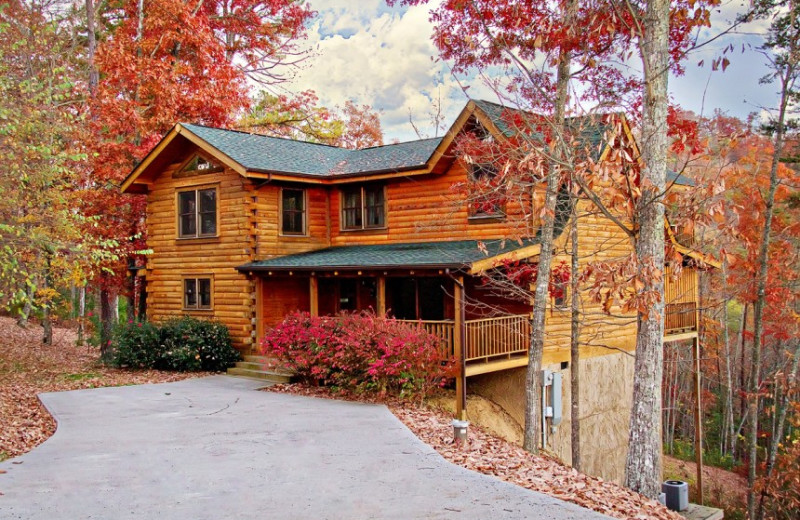 Southern Splendor cabin at Little Valley Mountain Resort