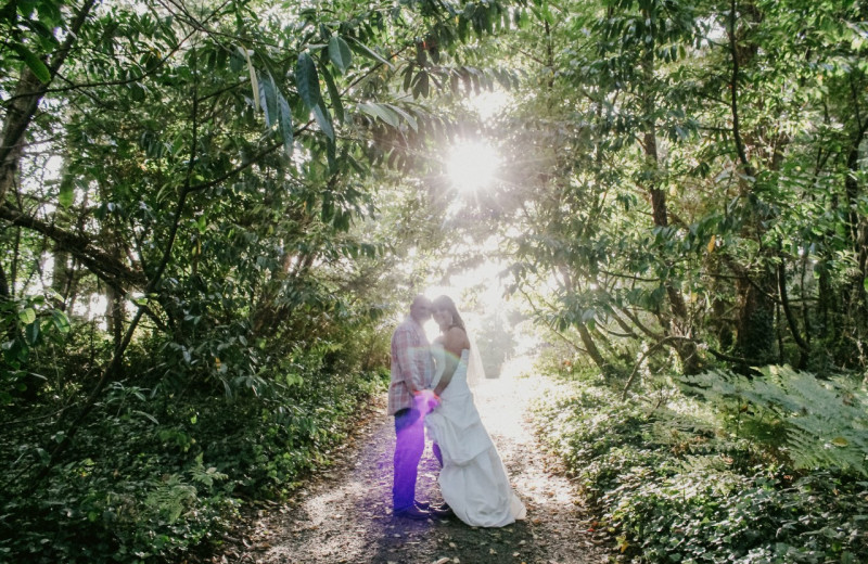 Weddings at Shakti Cove Cottages.