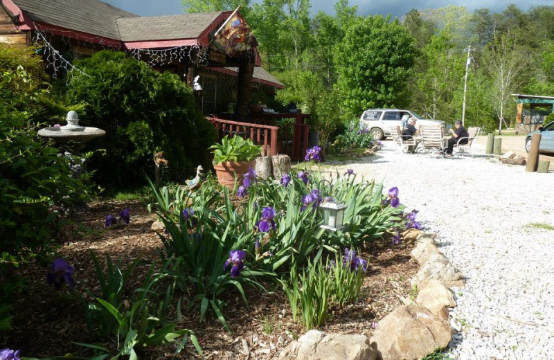 Exterior view of Mountain Rest Cabins and Campground.