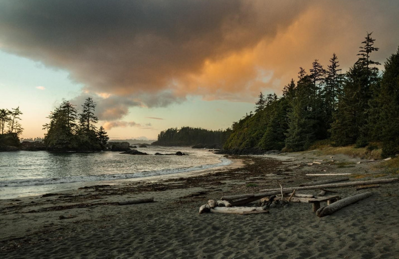 Beach at Nootka Wilderness Lodge.