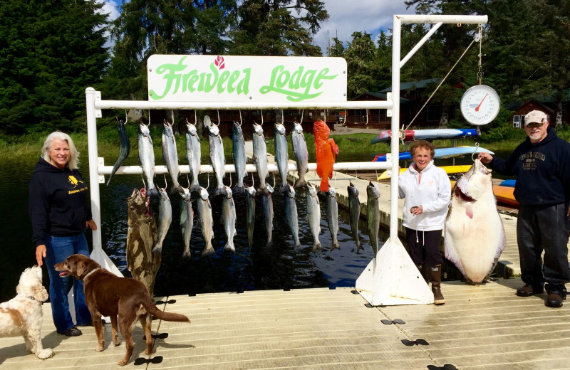 Fishing at The Fireweed Lodge.