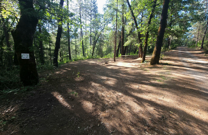 Campground at Lake Shasta Pines RV Park 