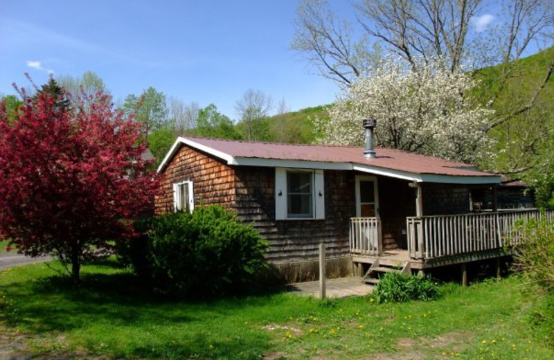 Cabin exterior at Cold Spring Lodge.