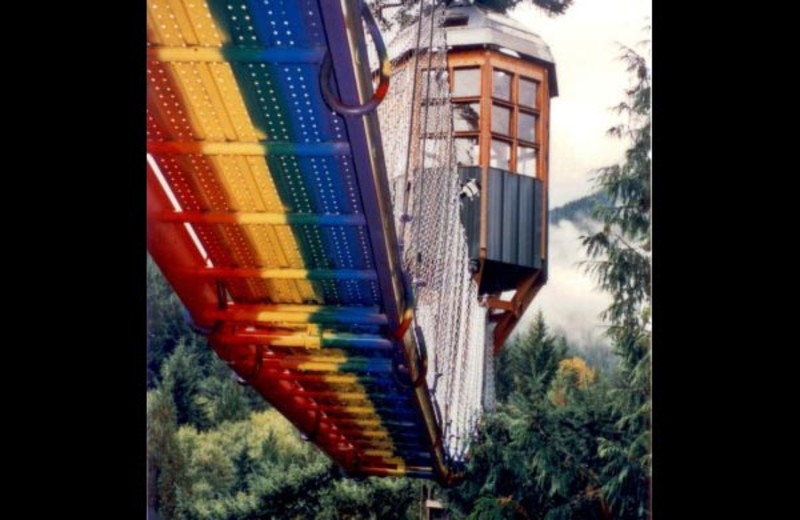 Rainbow bridge at Cedar Creek Treehouse.