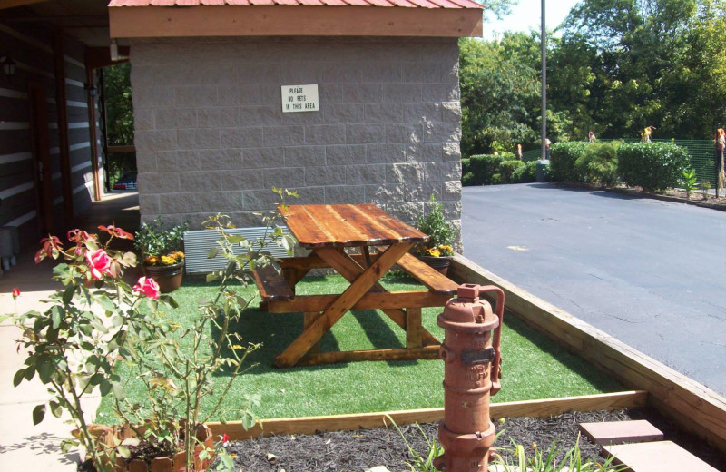 Picnic area at Timbers Lodge.