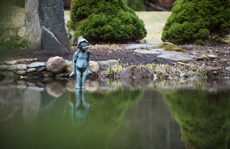 Pond at Four Columns Inn.