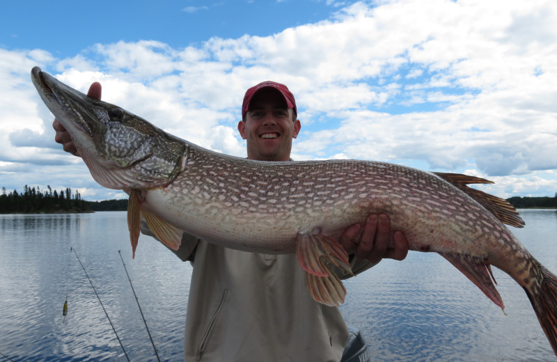 Fishing at Maynard Lake Lodge and Outpost.