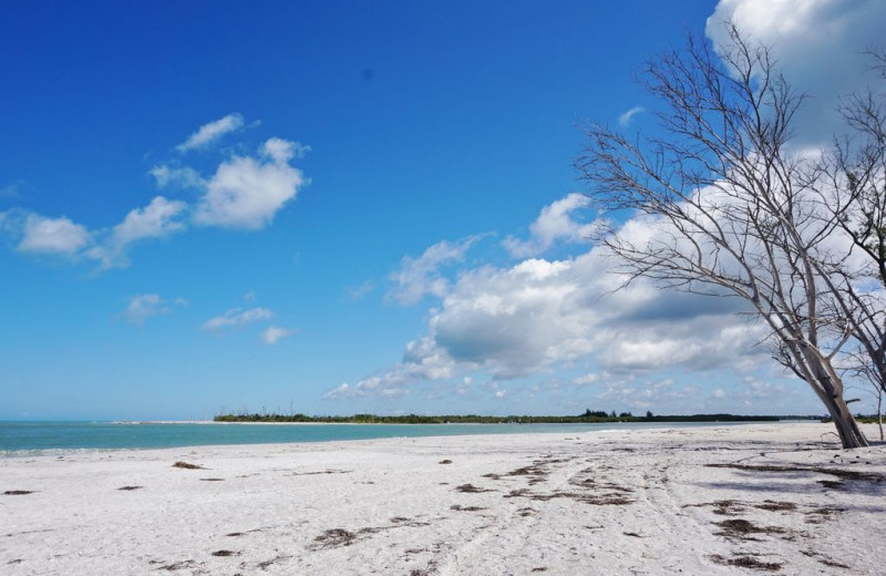 Beach at Palm Island Resort.