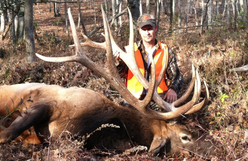 Elk hunting at Caryonah Hunting Lodge.