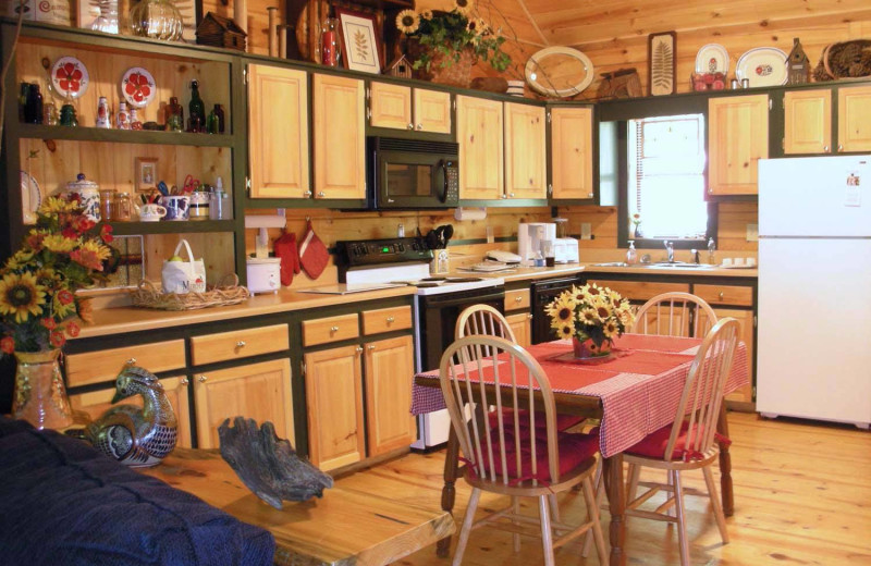 Cabin kitchen at Avenair Mountain Cabins.