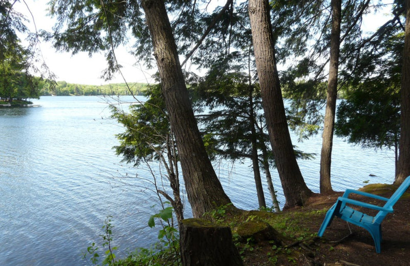 Walker Lake Resort (Huntsville, Ontario) Resort Reviews