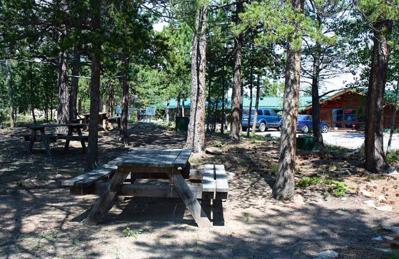 Picnic area at Eldora Lodge.