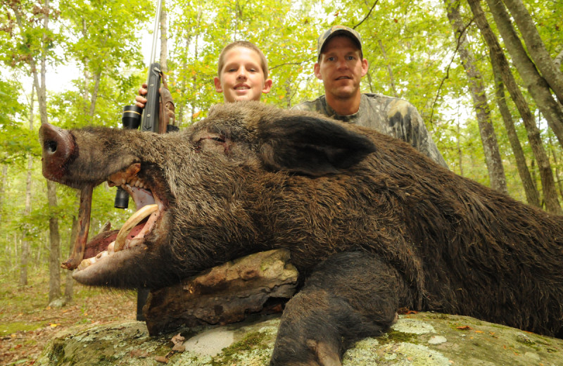 Boar hunting at Caryonah Hunting Lodge.