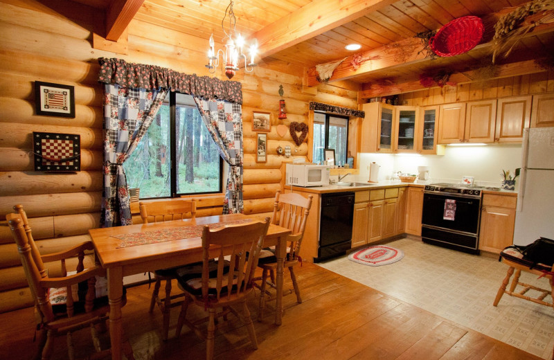 Cabin kitchen at Natapoc Lodging.