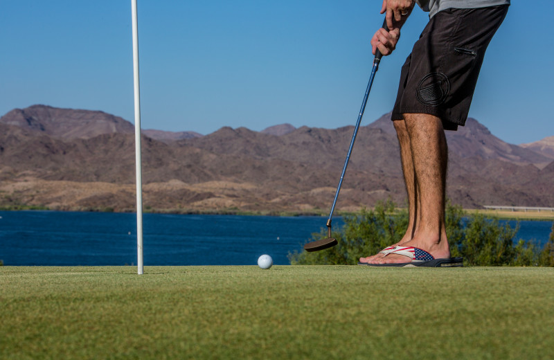 Golf at Havasu Springs Resort.