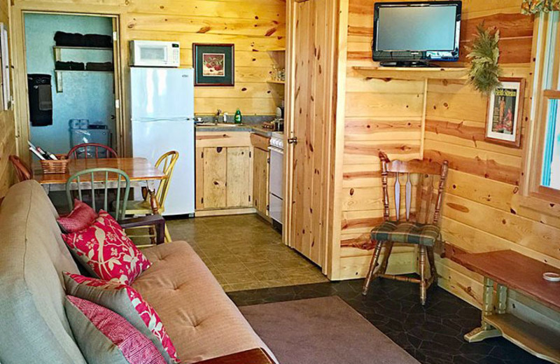 Cabin interior at Silver Mountain Resort and Cabins.