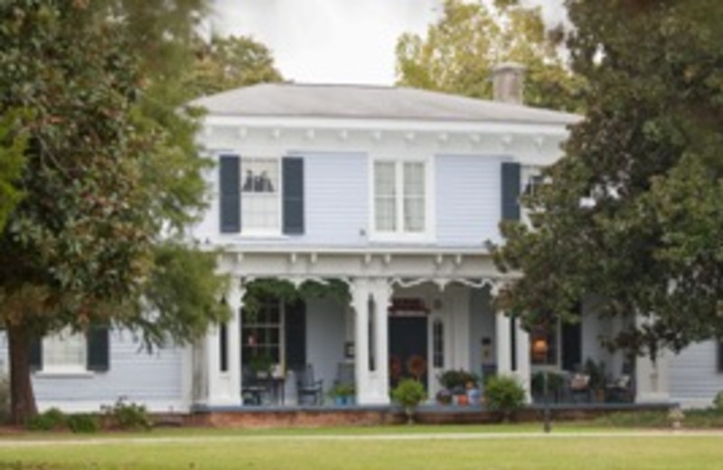Magnolia Manor Plantation Bed (Warrenton, NC) Resort Reviews