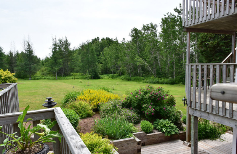 Ground at Auberge Wild Rose Inn.