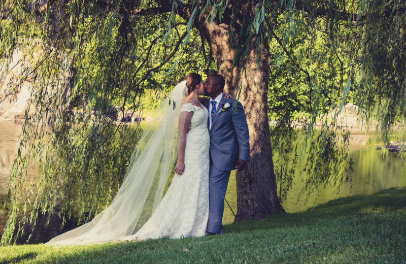 Wedding at Harman's Luxury Log Cabins.